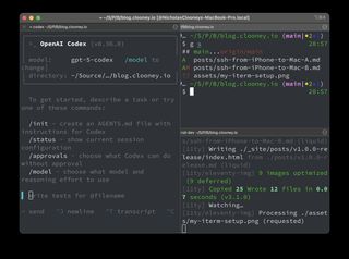My Iterm Setup